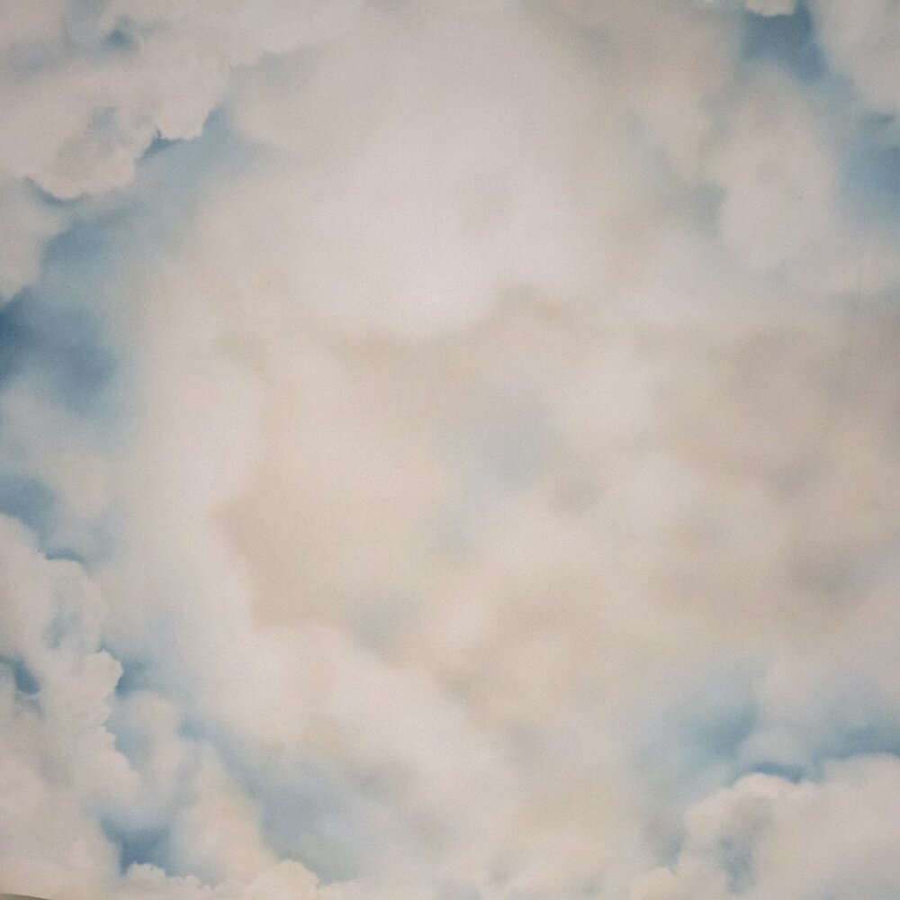 photography backdrop, 7x5